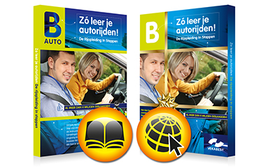 Praktijkboek RIS + 9 maanden animaties